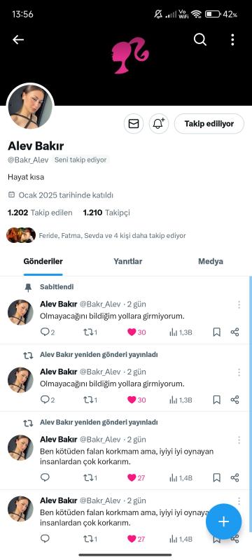 1.2k ana mailli uygun fiyatlı twitter hesabı