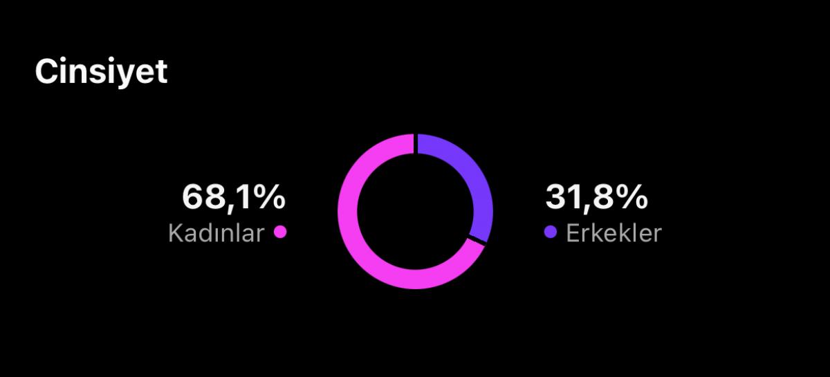 ✅ %92 türk %68 bayan takipçili multi aktif ilk mailli instagram hesabı