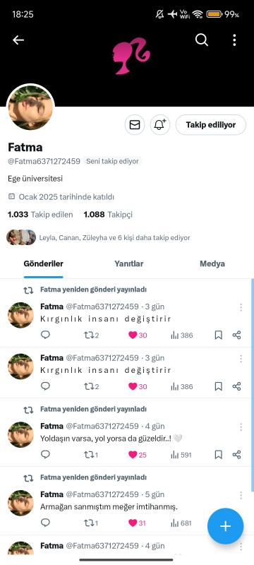 1.1k ana mailli uygun fiyatlı twitter hesabı