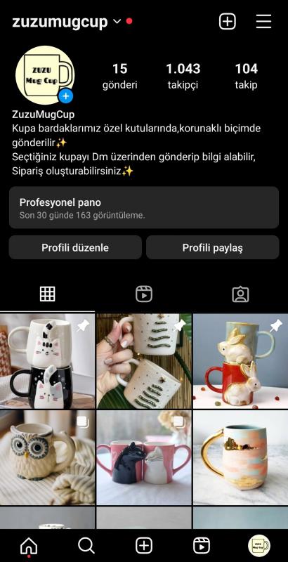 ☑️ 1043 takipçili instragram ilk mailli profesyonel hesap