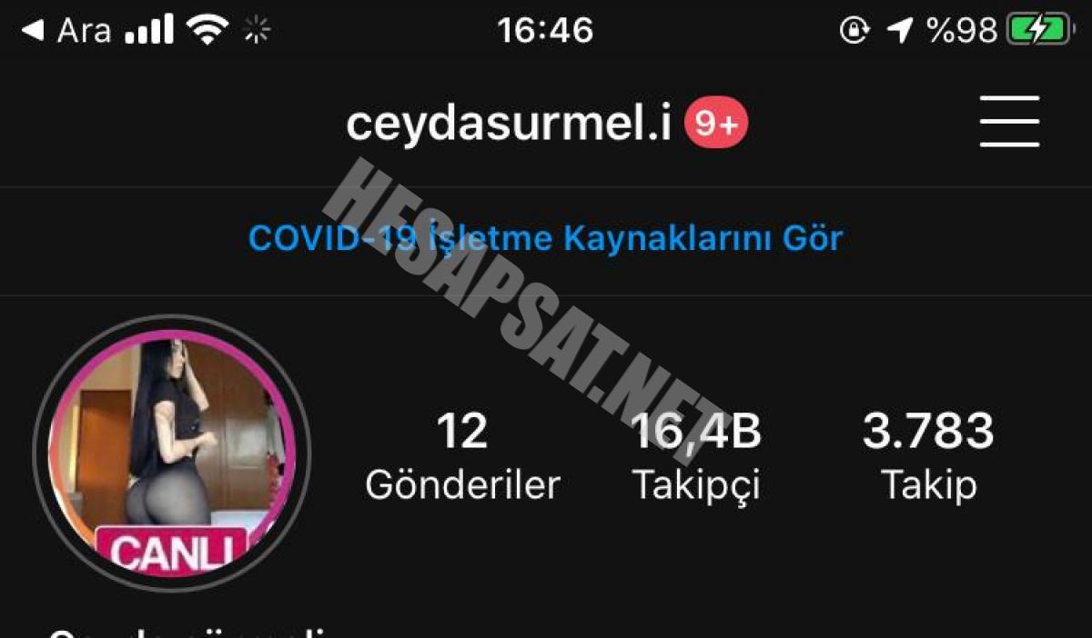 16.4k %100 el emeği organik türk takipçili fake kız hesap