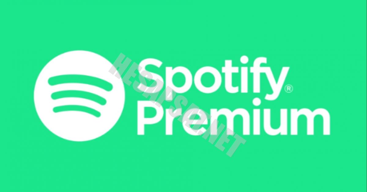 Spotify Premium 1 Aylık Abonelik