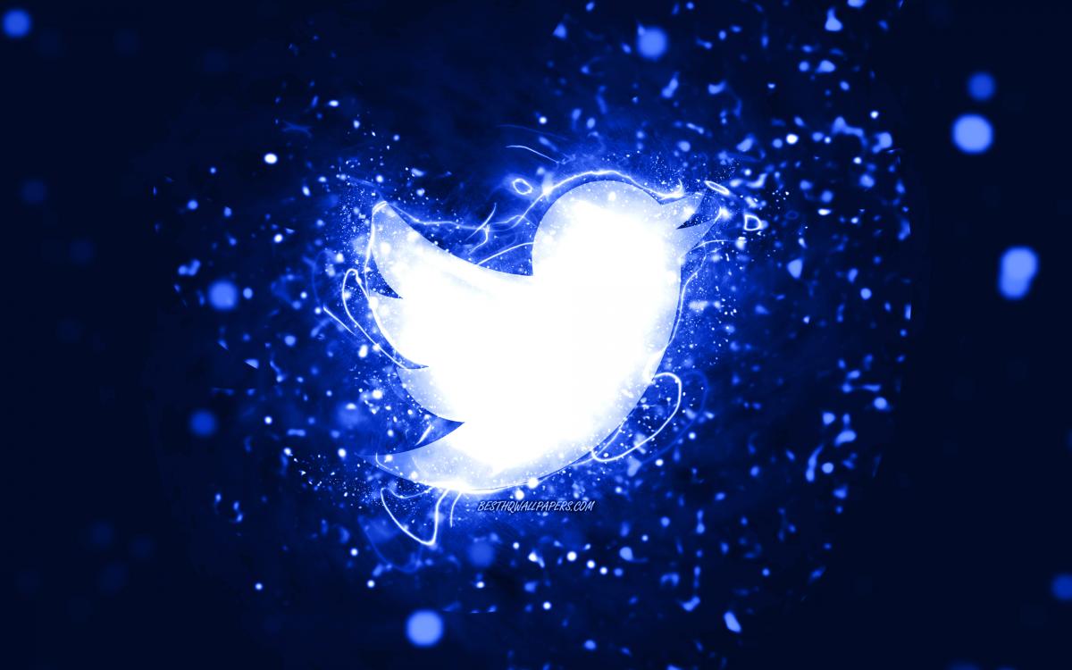 2009 tarihli doğa canlıları konseptli 220 adet eski tweete sahip twitter hesabı şok fiyata gidiyor