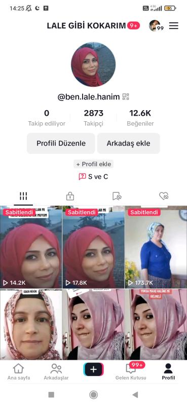 3k takipçili 13k beğenili tiktok hesabı