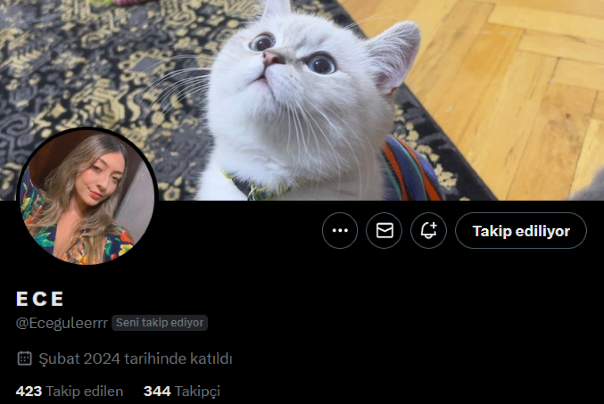 500 takipçili twitter hesabı