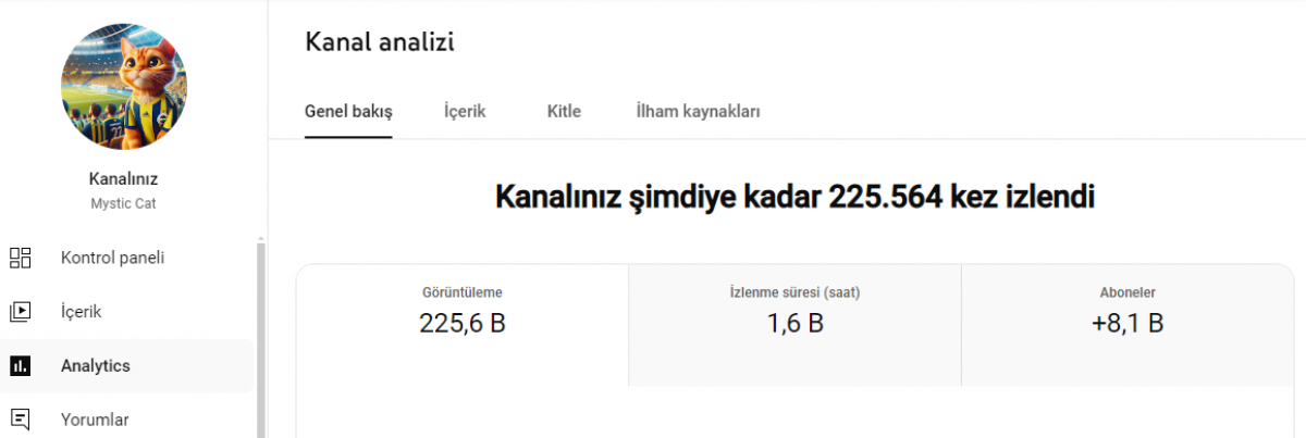 228 bin izlenmiş 8k youtube kanalı