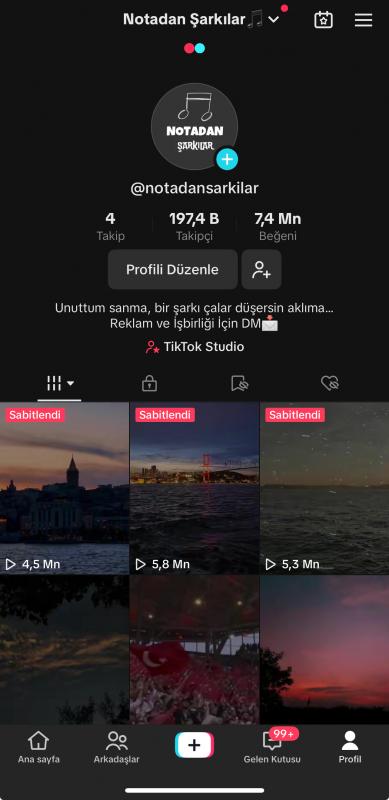 Reklam geliri olan yüksek erişimli 197k takipçili tiktok hesabı