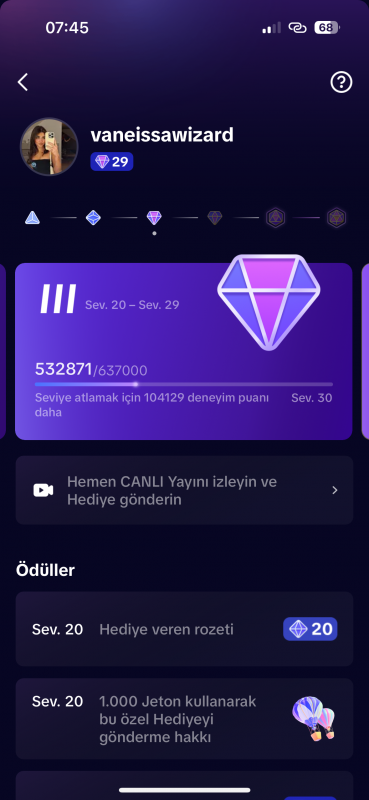 29 level tıktok hesabı