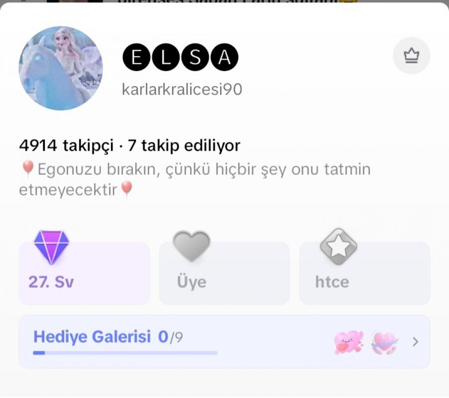 27 levelli satılık tiktok hesabı