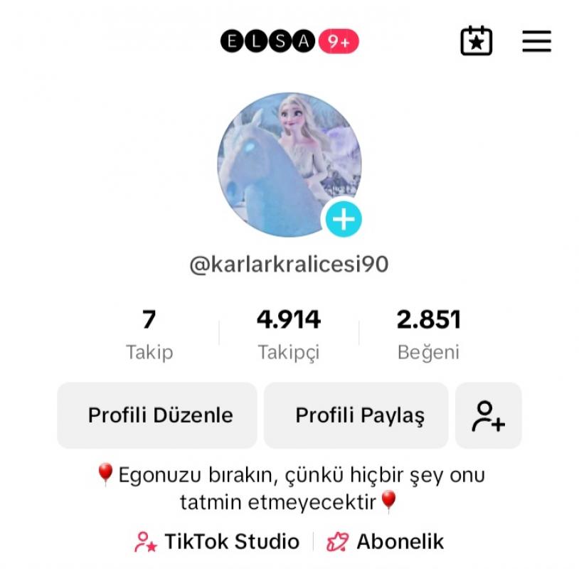 27 levelli satılık tiktok hesabı