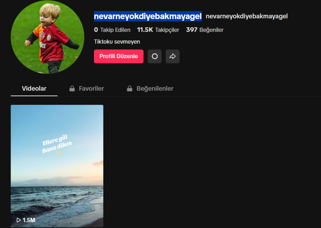 Tiktok hesap ucuza