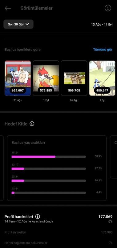 Yüksek erişimli instagram hesabı