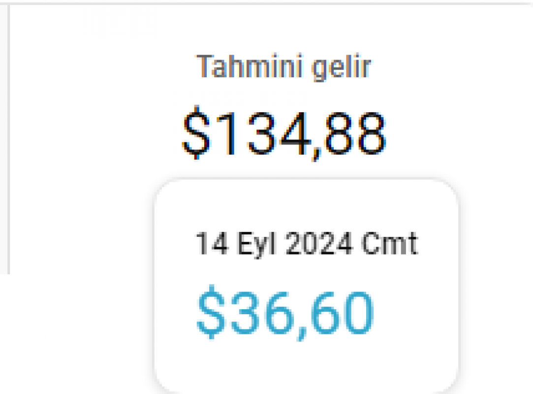 6 günde 135 dolar kazandıran bol aktif shorts kanalı