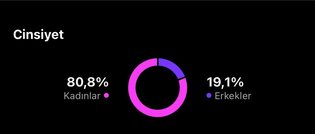 ✅ %82 türk takipçili %80 bayan takipçili ilk mailli organik instagram hesabı