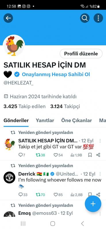 3000 takipçili organik twitter hesabı