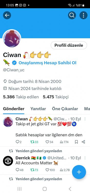 5k organik twitter hesabı satılık