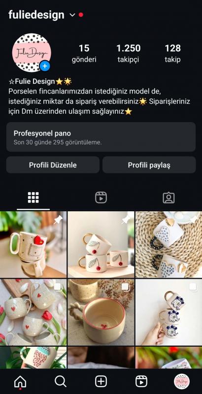 ☑️ 1.2k takipçili instagram ilk mailli projelik