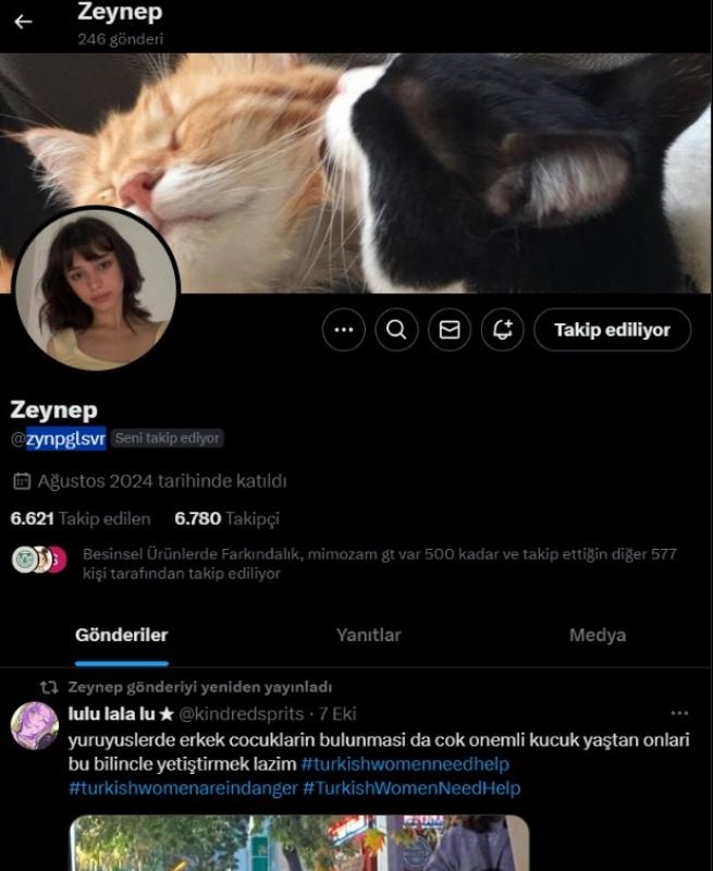 6800 organik takipçili twitter hesabı satılık