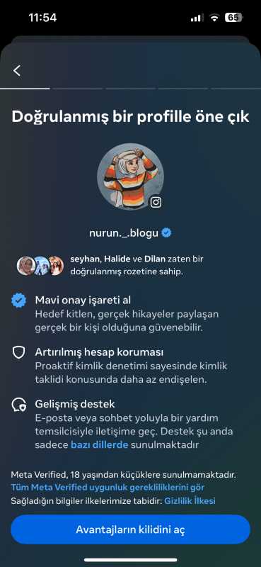 ✅ meta verified açık %83 türk  %75 bayan takipçili ilk mailli instagram hesabı