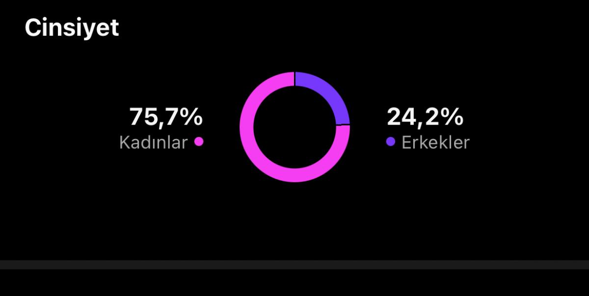 ✅ meta verified açık %83 türk  %75 bayan takipçili ilk mailli instagram hesabı