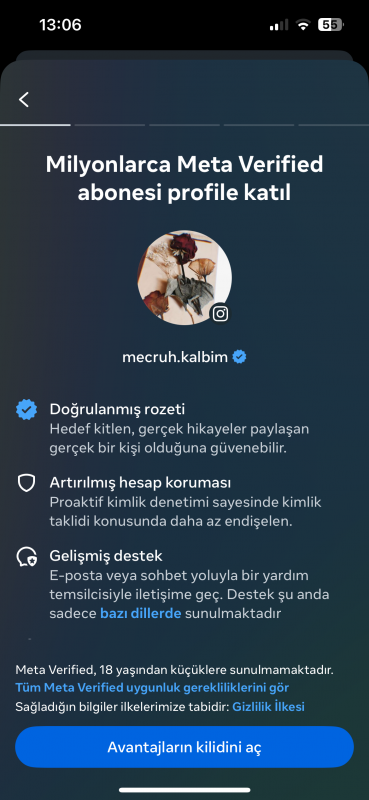 ✅1k satılık multiaktif %95 türk takipçili ilk mailli instagram hesabı