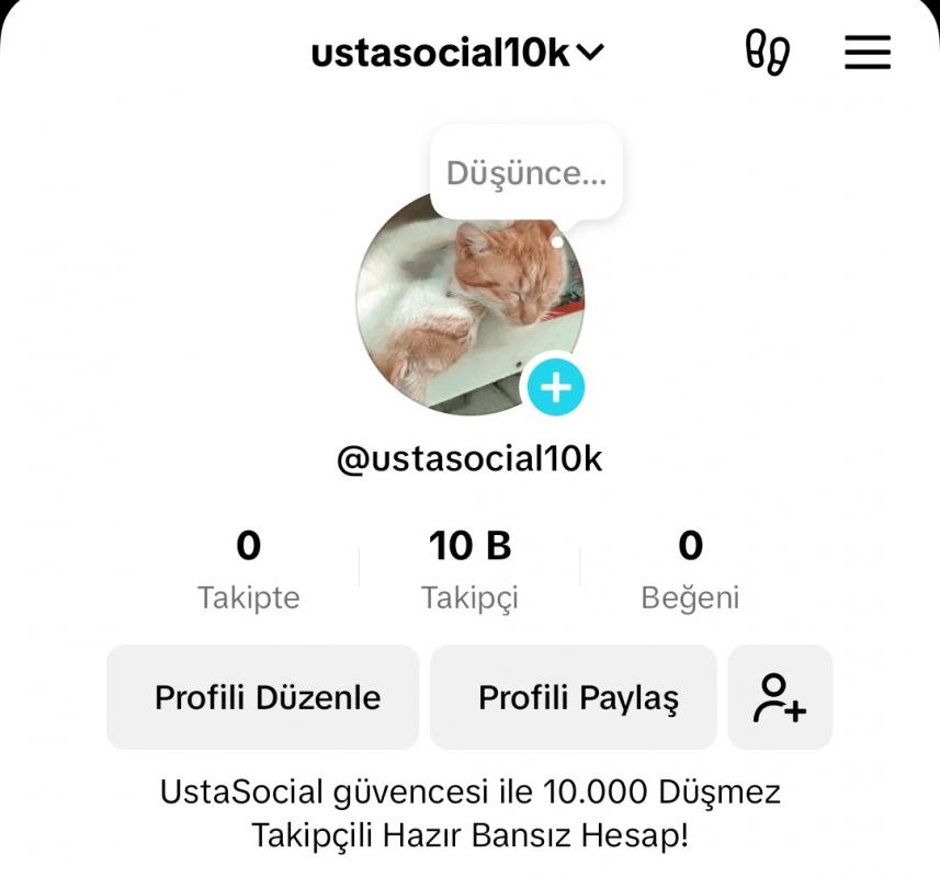 ❤️10k düşmez takipcili bansız hazır hesap