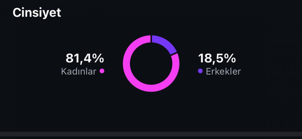 ✅ meta verified açık %85 türk %80 bayan takipçili ilk mailli instagram hesabı