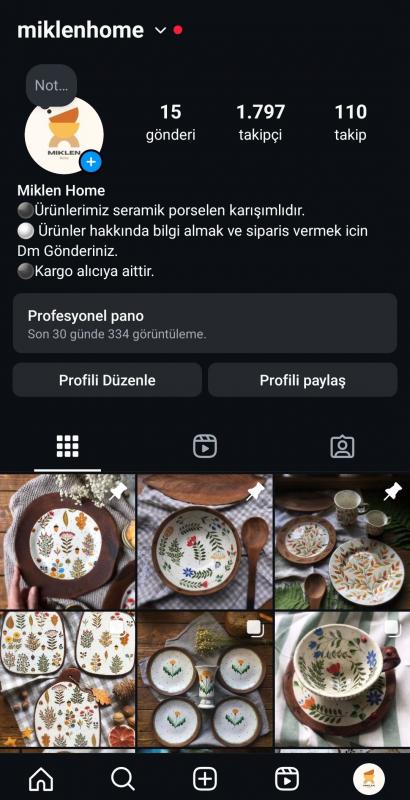 ✅️ 1797 takipçili instagram ilk mailli e-ticaret