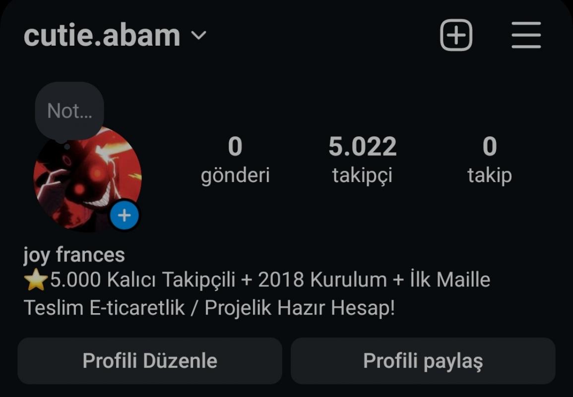 ✅⭐ 5000 takipçili 6 senelik ilk mail teslimli hazir hesap