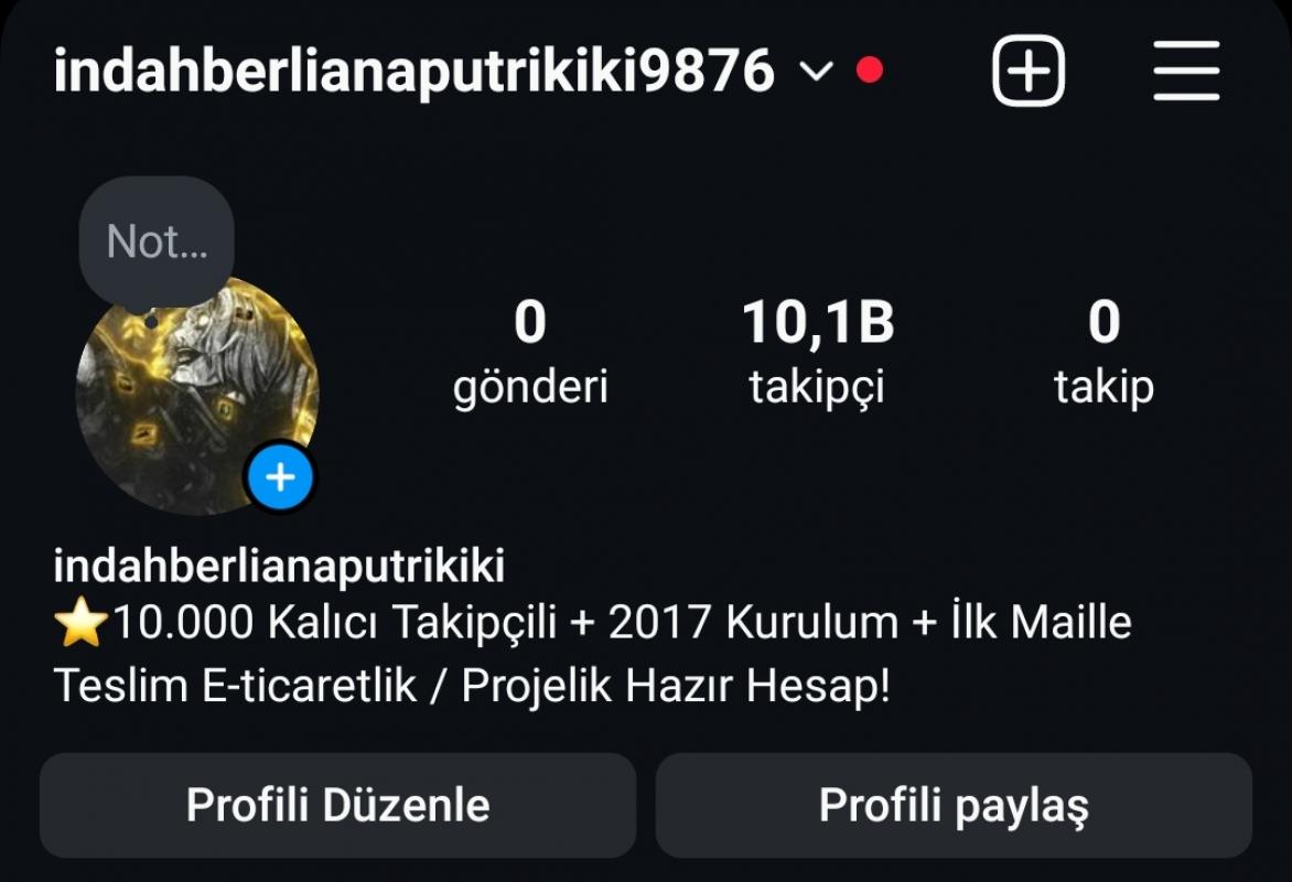 ✅⭐ 10 bin takipçili 7 senelik ilk mail teslimli hazır hesap