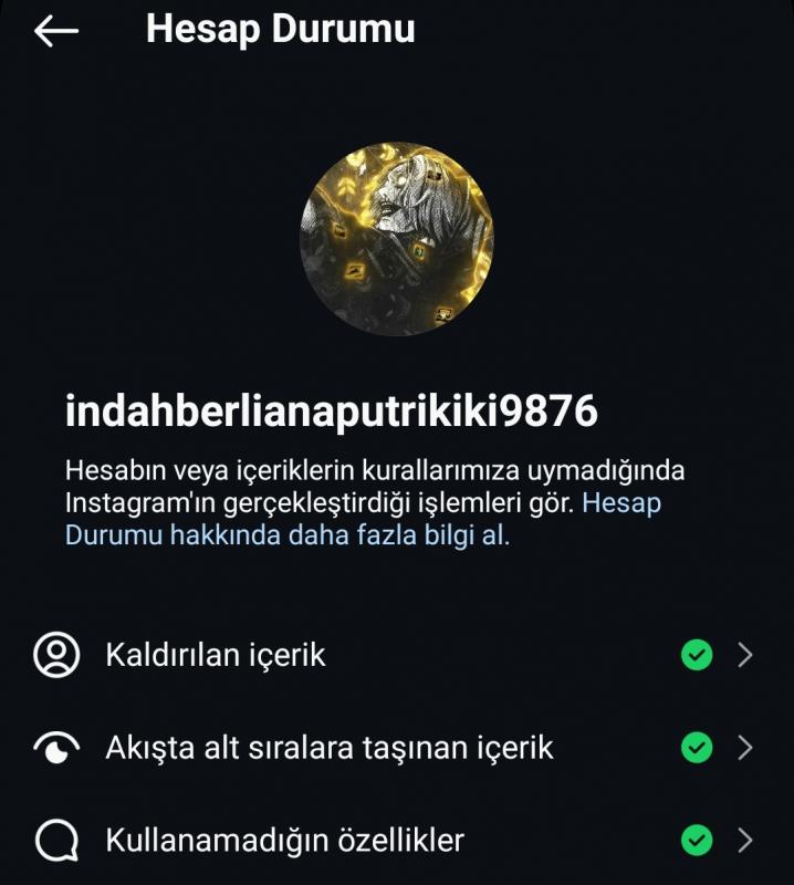 ✅⭐ 10 bin takipçili 7 senelik ilk mail teslimli hazır hesap