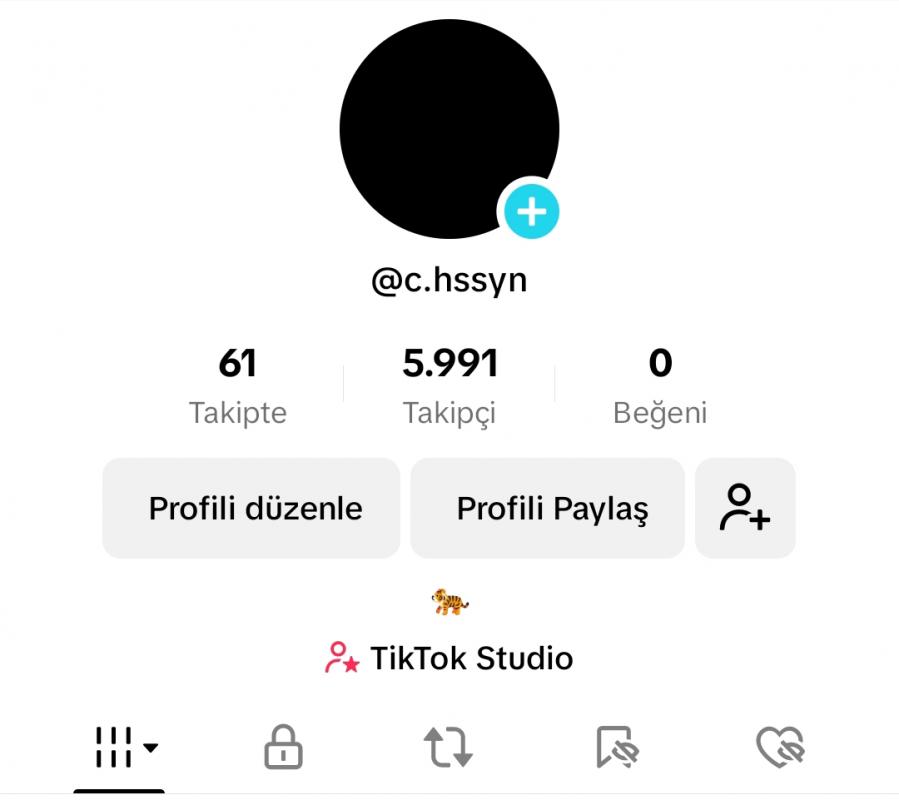 Tiktok satılık hesap