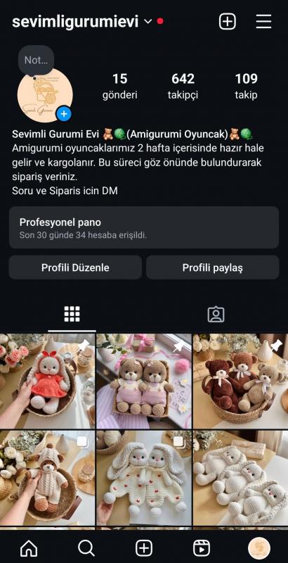 ✅️ 642 takipçili instagram ilk mailli e-ticaret