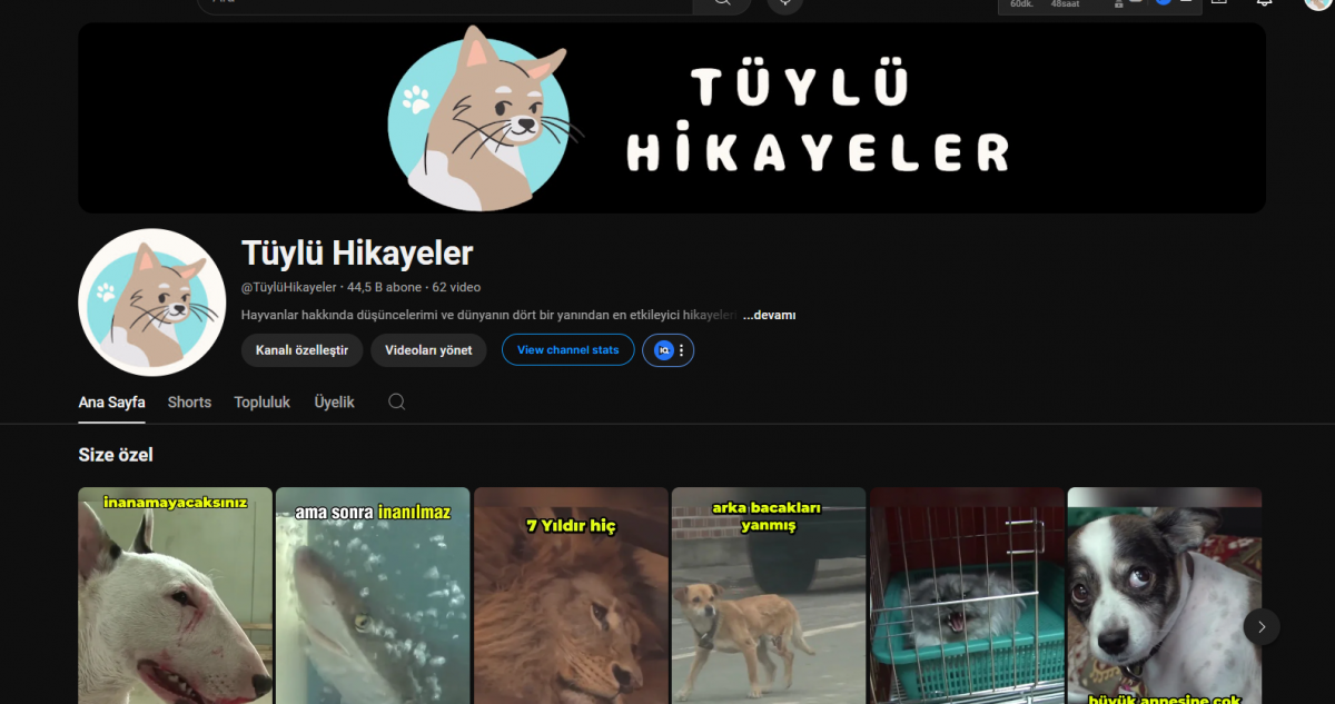 Aylık 10 bin kazandıran youtube kanal