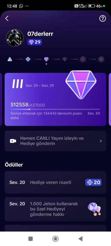 29 seviye satılık hesap