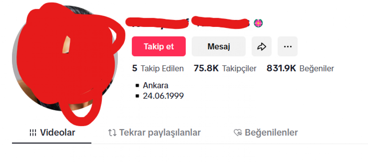 75k takipçi 832k beğenili tiktok hesabı