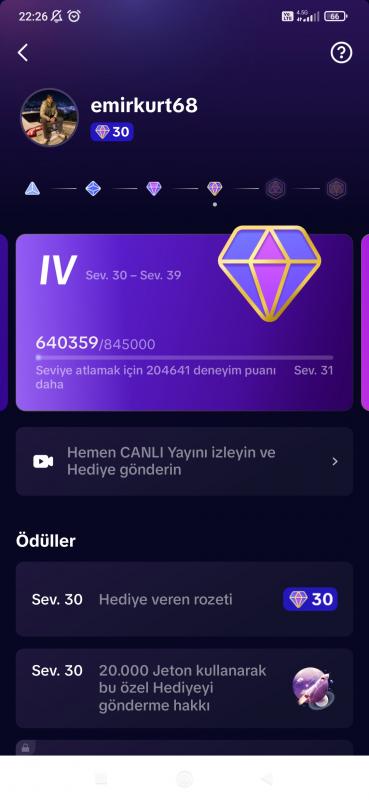 30 seviye tiktok hesabı