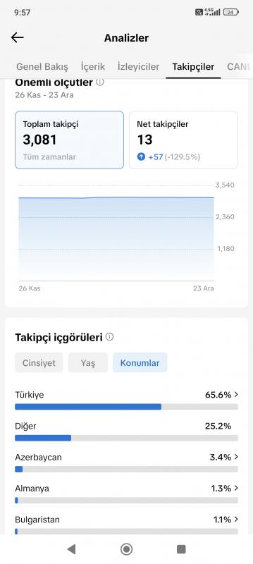 Düşük bütçeye uygun tiktok hesabı