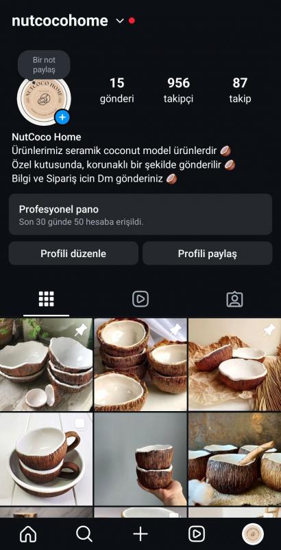 ☑️ 956 takipçili profesyonel instagram ilk mailli projelik